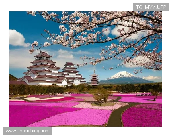 日本队新款樱花球衣亮相,展现民族团结与青春活力状态提升